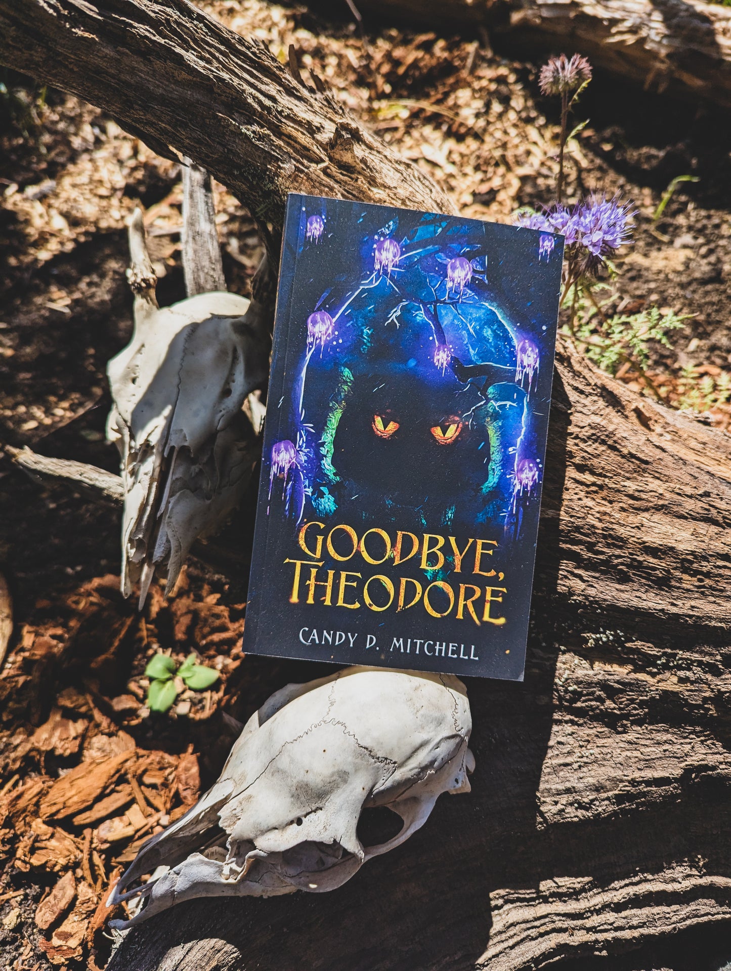 Goodbye, Theodore (Book 1 of Return to Folengower trilogy)