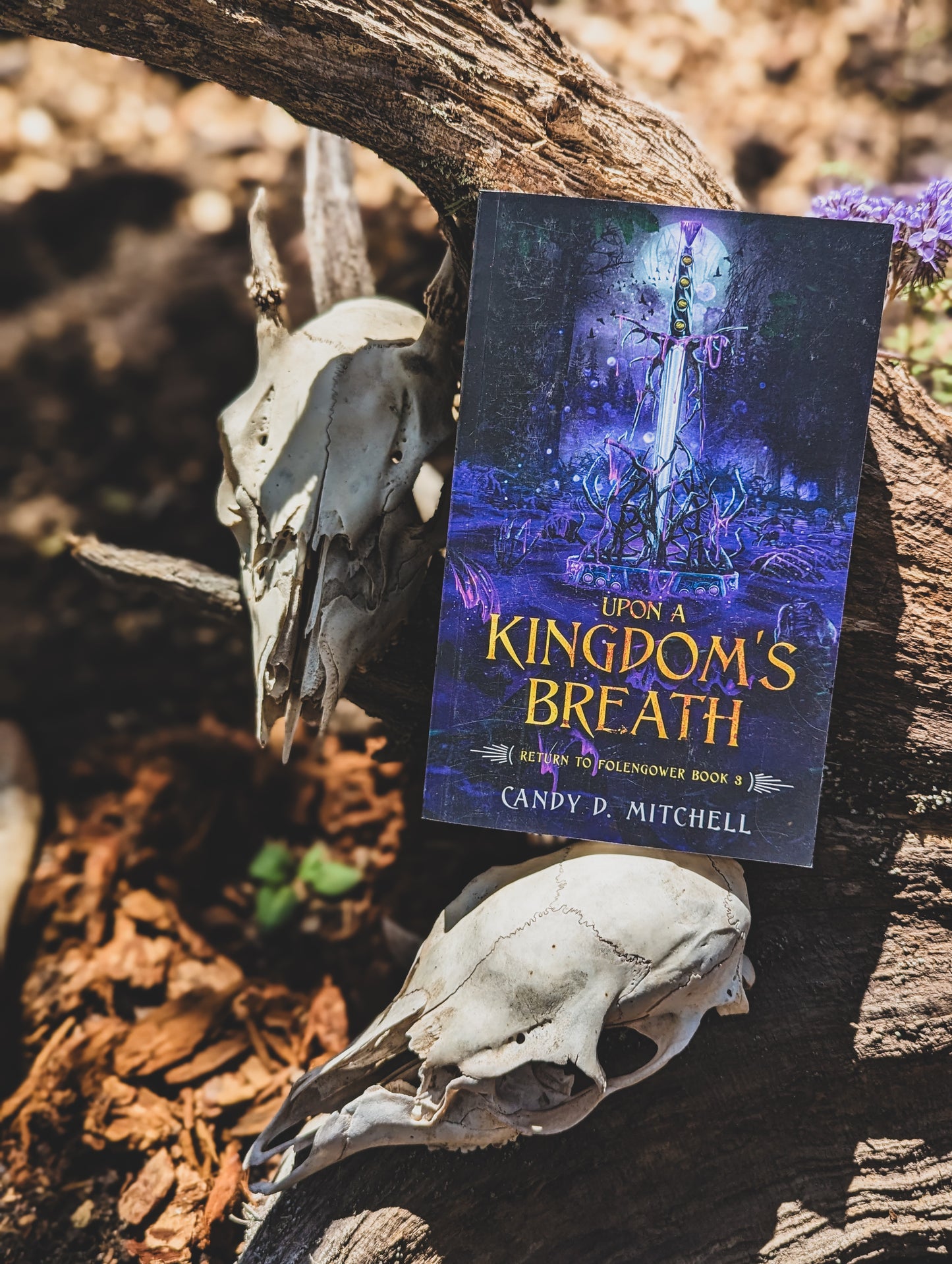 Upon A Kingdom's Breath (Book 3 of the trilogy Return to Folengower)